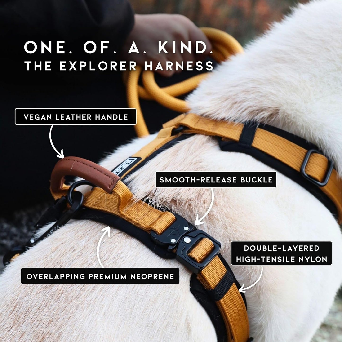 MADE TO ROAM Premium Explorer Harness - Y-Shaped Dog Harness with Adjustable Durable Nylon, Soft Padding, Metal Buckles and Leather Handle for Small, Medium, Large Dogs (California Horizon, Size 5)