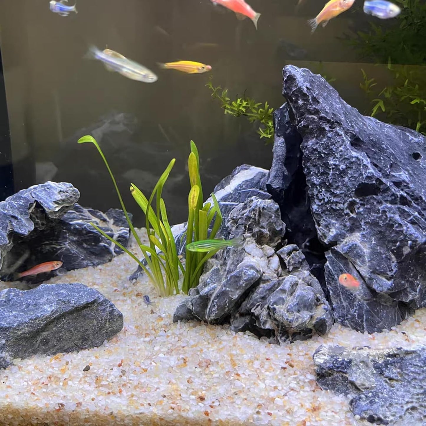 10 lbs Aquarium Silica Sand. Decorative Mini Aquarium Gravel Substrate for Fish Tank, Plants Potted, Fire Pits, Candle, Vase Filler and Crafts