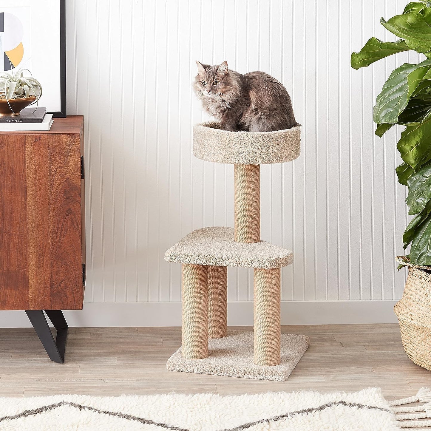 Amazon Basics Cat Tree - Indoor Cat & Kittens Multi-Level Climbing Activity Tower with Scratching Posts, Medium (31.5"H) - Beige