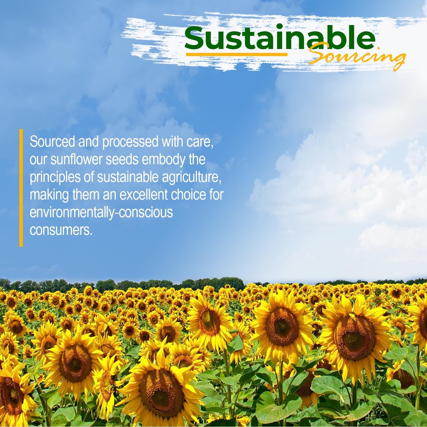 Wildlife Sunflower Hearts & Chips for Bird Feeding and Wildlife Bird attracting, Non-GMO and USA Grown, 25 lbs