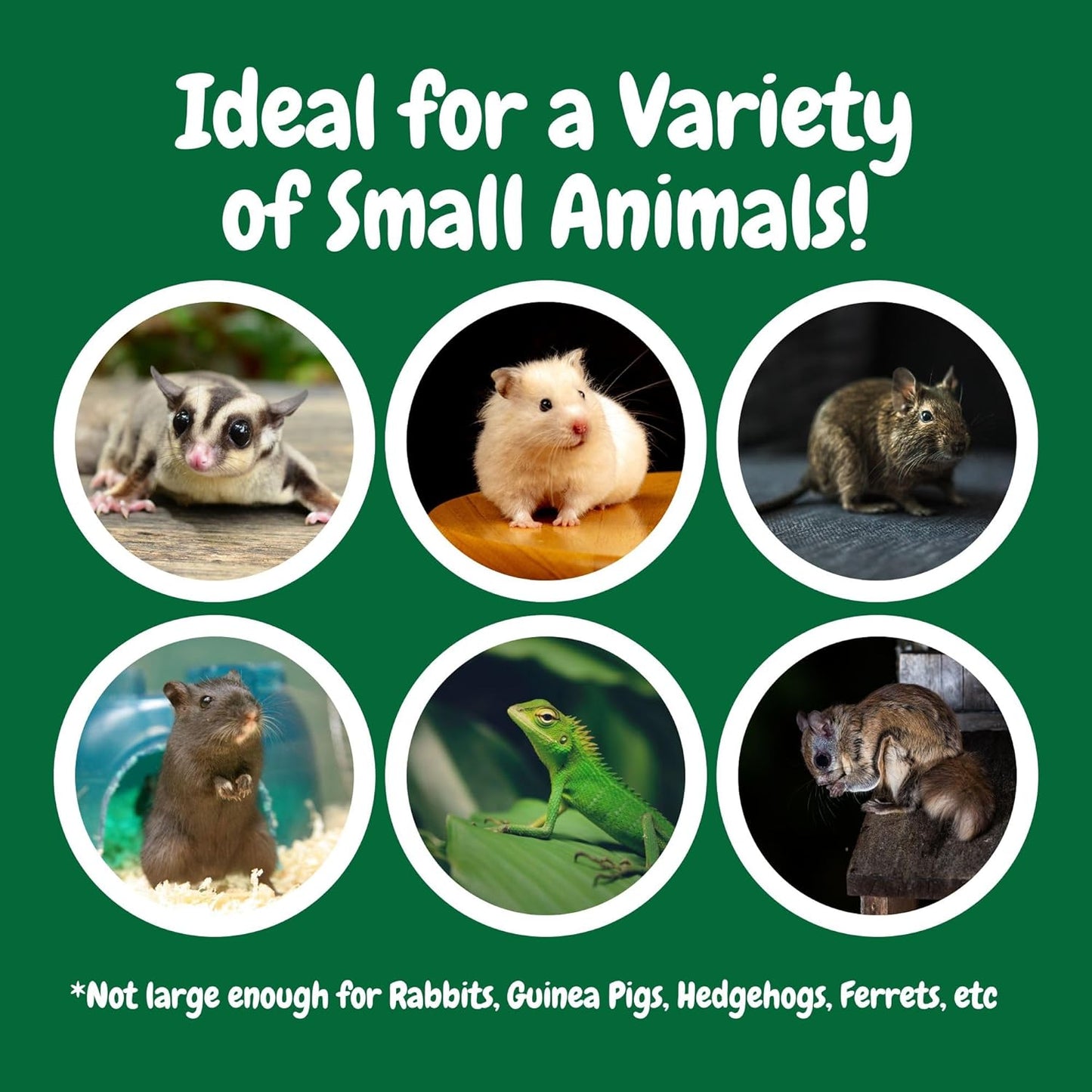 Exotic Nutrition Economy Carry Bonding Pouch (Blue) - for Sugar Gliders, Squirrels, Marmosets, Hamsters, Rodents, Rats, Reptiles, & Other Small Pets