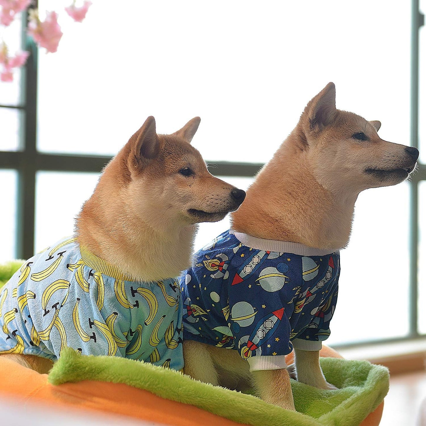 CuteBone Small Dogs Outfit Soft Puppy Onesies Pjs Dog Pajamas Pet Coat Cat Apparel Comfy Doggie Jumpsuit Bodysuit for All Seasons P16XXL