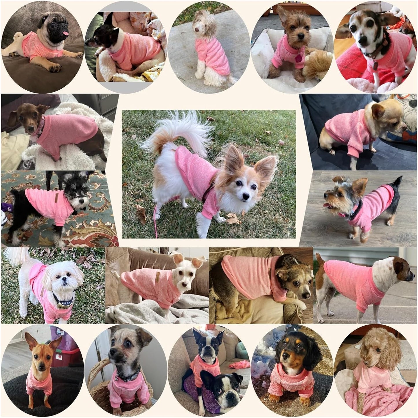 Jecikelon Dog Clothes Dogs Sweater Soft Puppies Clothing Winter Puppy Sweaters Warm Outfit for Dogs Small XXS XS Cat Apparel (Pink, XS)