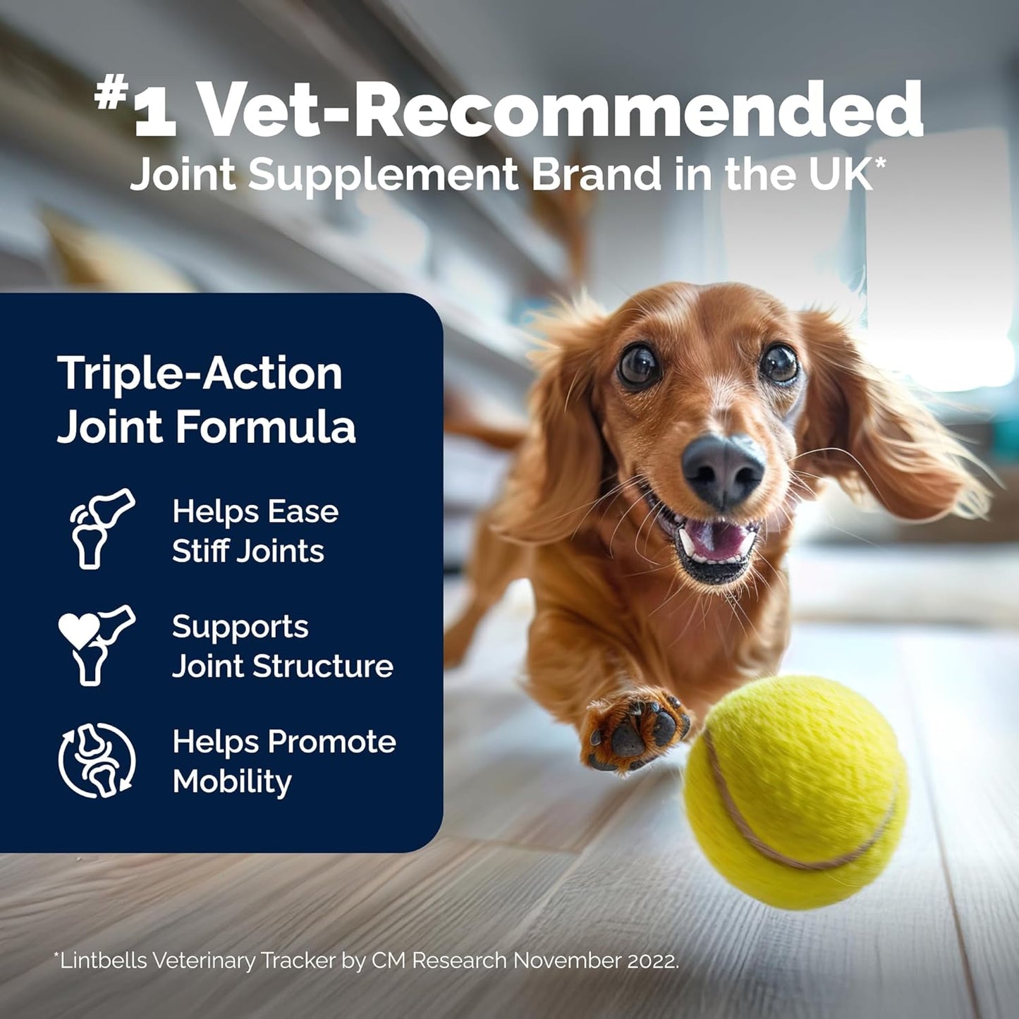 YuMOVE Hip & Joint Supplement for Dogs with Glucosamine, Hyaluronic Acid, Green Lipped Mussel & Omega 3 Joint Supplement - Regular or Advanced Strength (300ct, Chewable Tablets)