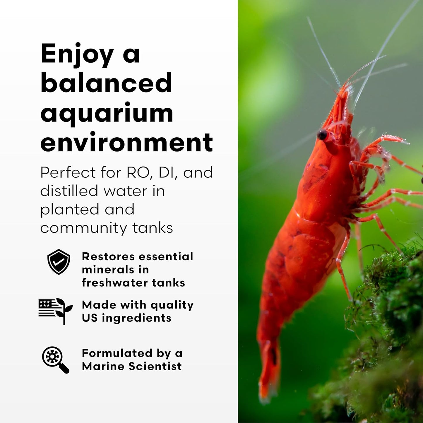 Brightwell Aquatics Remineraliz P - Reconstitutes Reverse Osmosis, Deionized, or Distilled Water for Freshwater Aquarium Use 1000-g