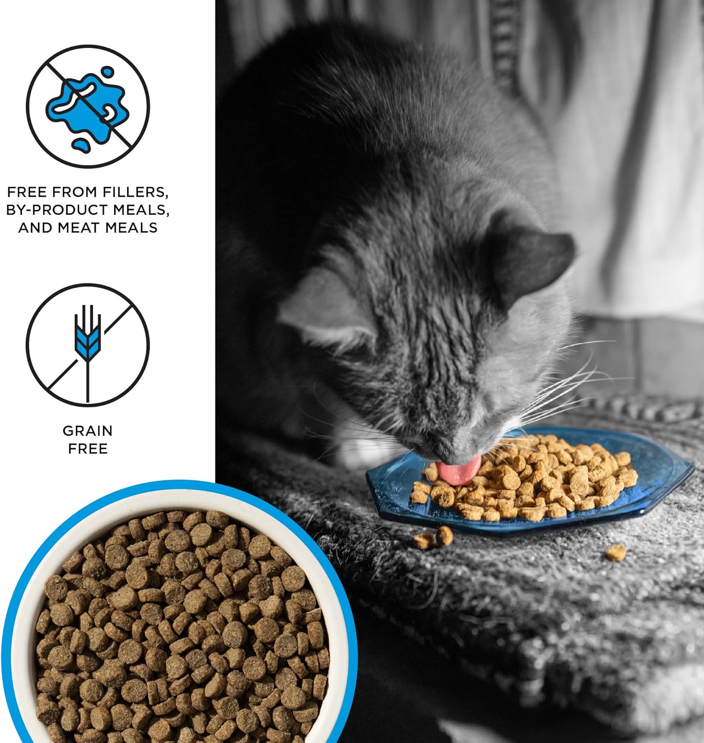 BIXBI Liberty Dry Food Salmon Recipe for Cats, 10lb