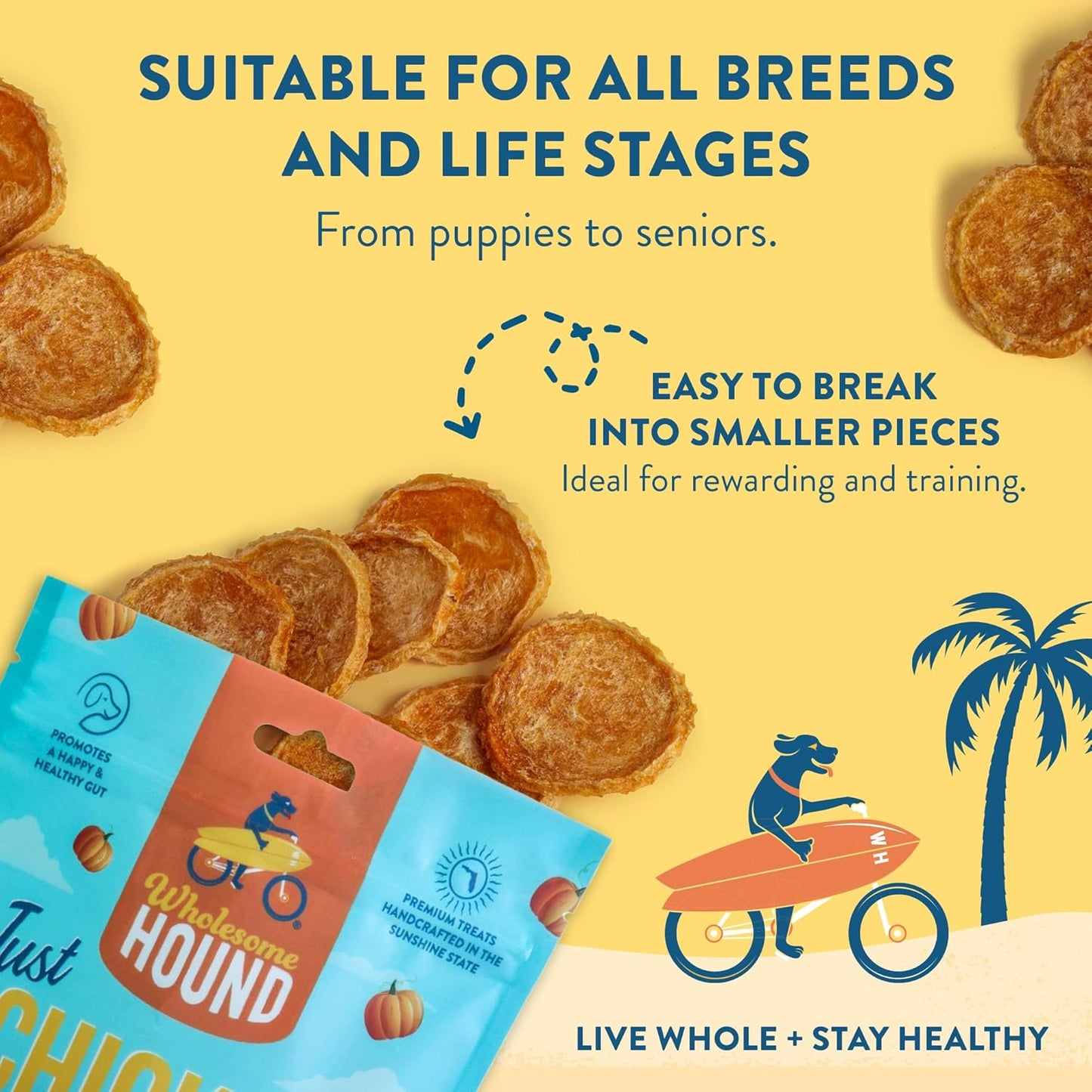 Chicken & Pumpkin Chips – 2 Simple Ingredient Dog Treats, All Natural & Healthy Training Snacks for Small, Medium & Large Breeds, Puppies – High Protein, Made in USA 7oz