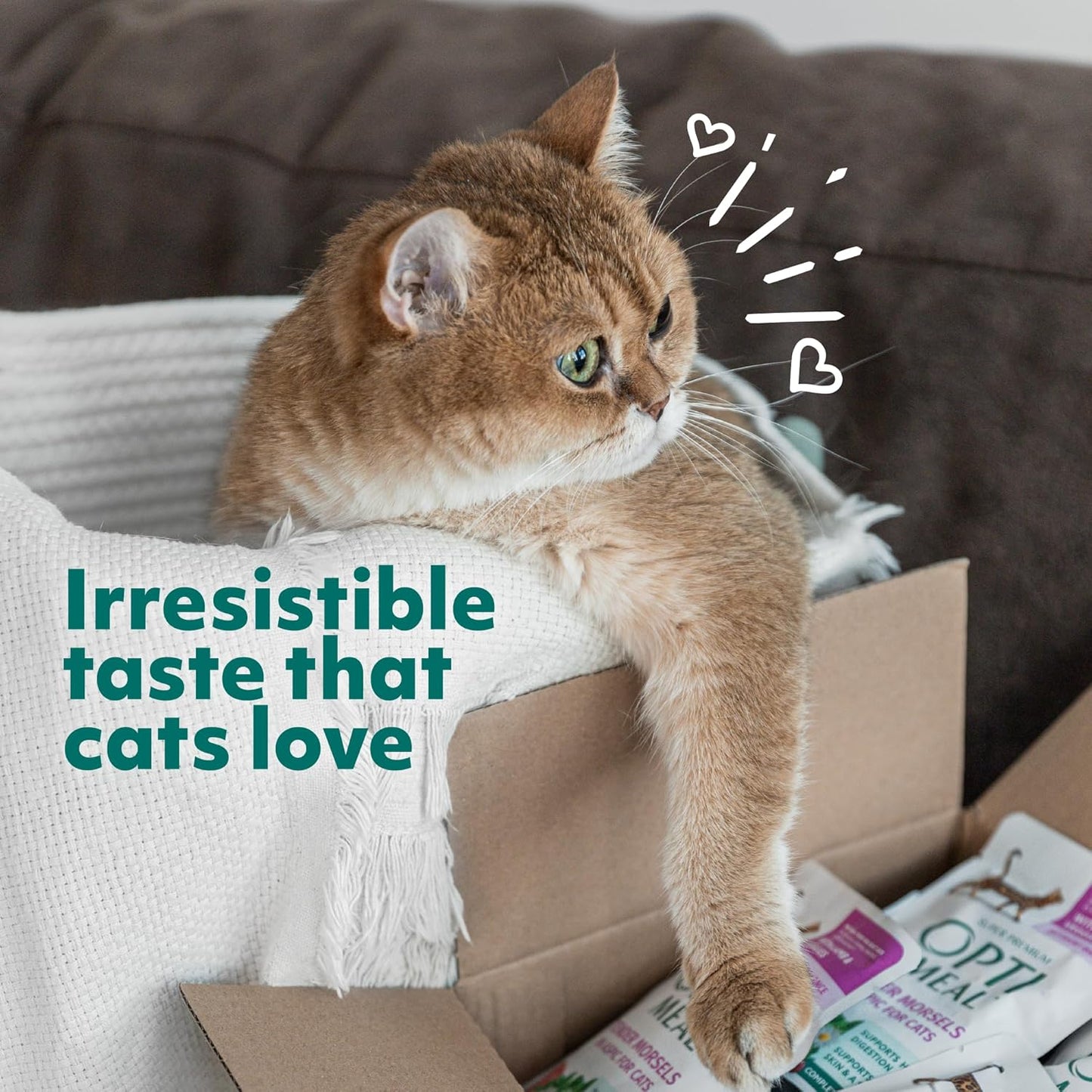 Optimeal Wet Cat Food Variety Pack - Grain Free Tender Morsels, High Protein Premium Nutrition Made with Natural European Quality Ingredients, Chicken, Adult Wet Cat Food Pouches - 12 Pack (3oz Each)