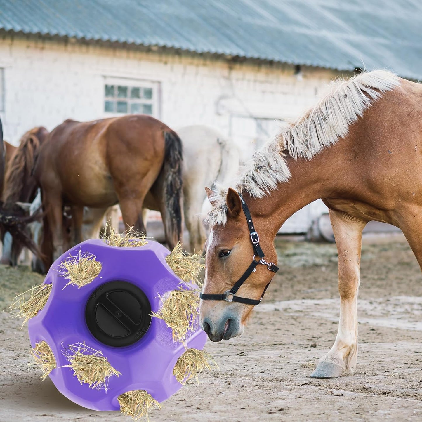 15.75" Hay Ball for Horse with Hanging Strap Slow Feed Horse Treat Ball Extra Large Hanging for Paddock Stall Stable Supplies (Purple)