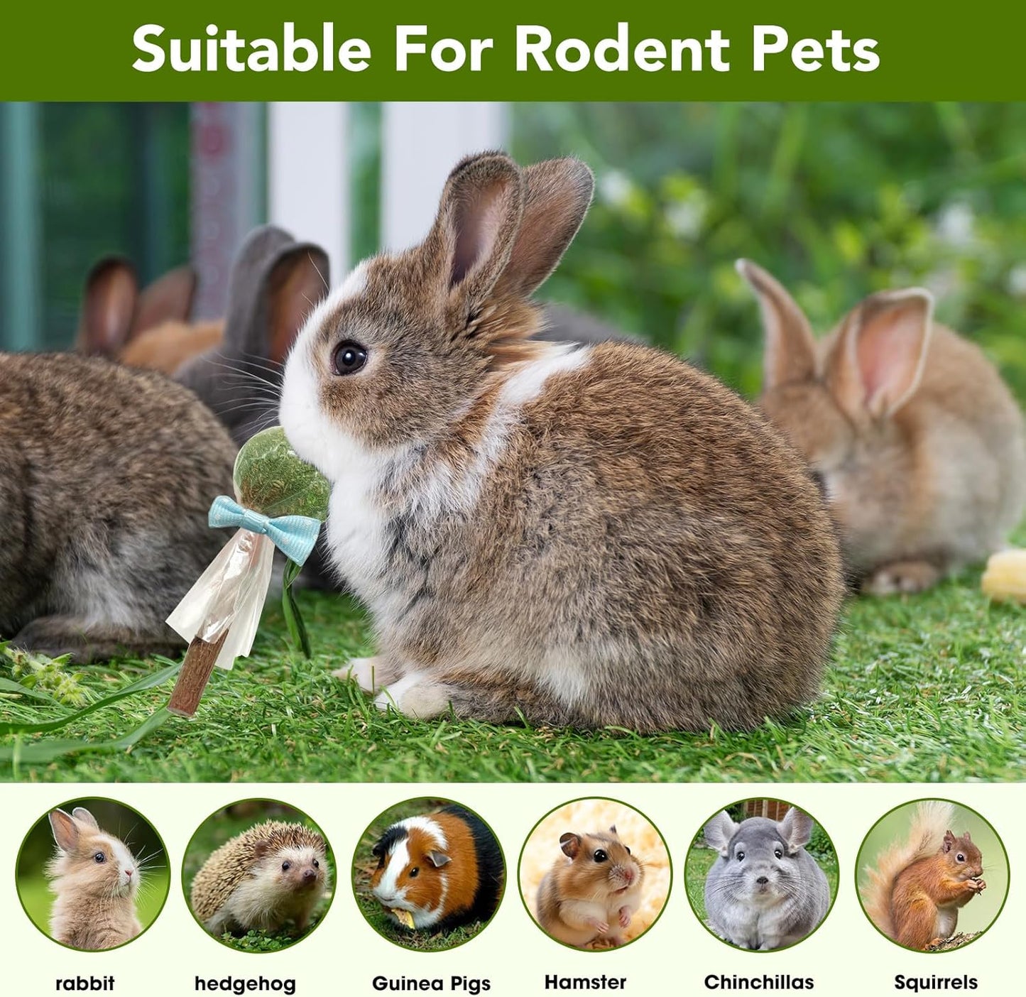 18-Pack Natural Alfalfa & Apple Wood Chew Lollipops for Small Pets - Healthy Dental Toys for Hamsters, Rabbits, Guinea Pigs, Chinchillas