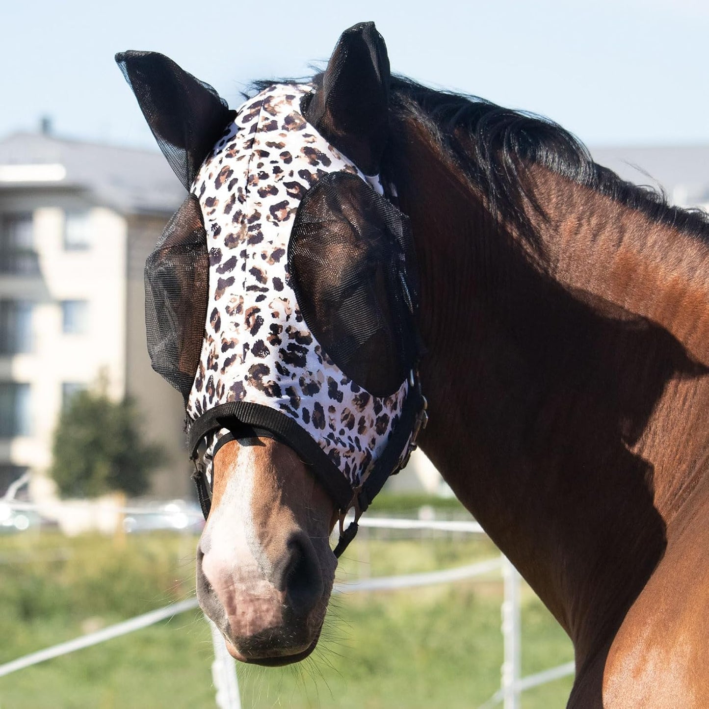 Harrison Howard Super Comfort Stretchy Fly Mask Large Eye Space with UV Protection Soft on Skin with Breathability Leopard Print M Cob