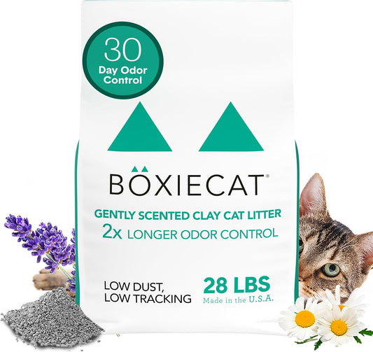 Boxiecat Gently Scented Premium Clumping Clay Cat Litter, 28-Pounds