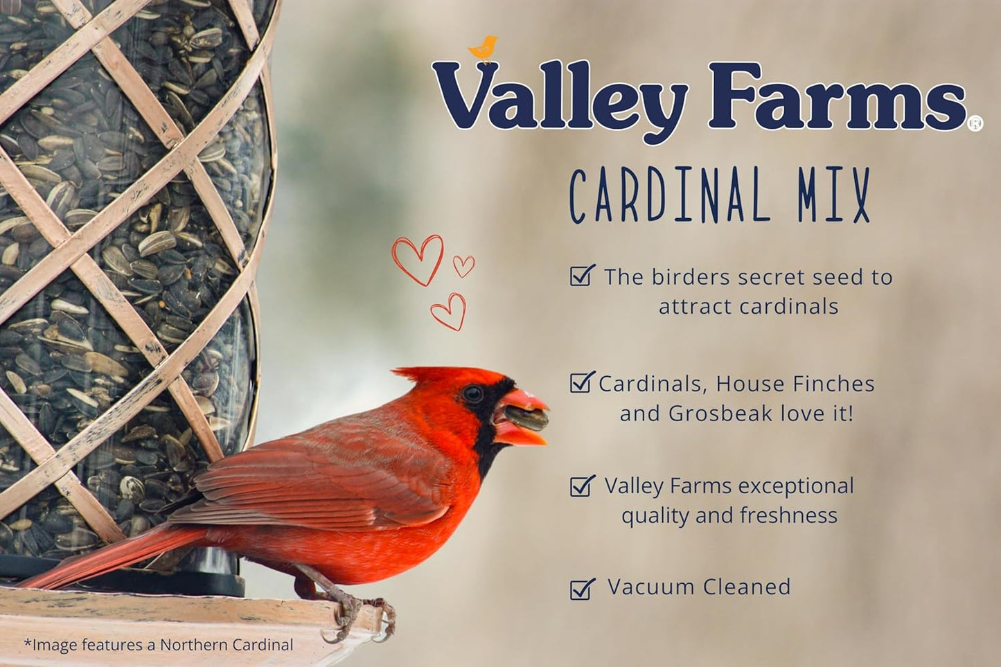 Valley Farms Cardinal Mix (3 LB) Wild Bird Food for Outside Feeders, Cardinal Bird Seed with Black Oil Sunflower Seeds and Safflower Seeds, Attract a Variety of Wild Birds