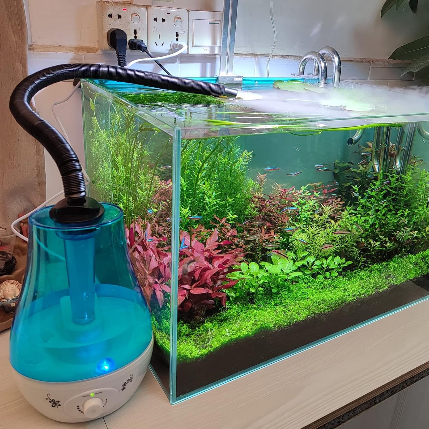 Reptile Fogger, Reptile Humidifiers, Misting System for Reptiles for Tortoise Habitat Chameleon Snake Amphibians(3L) White