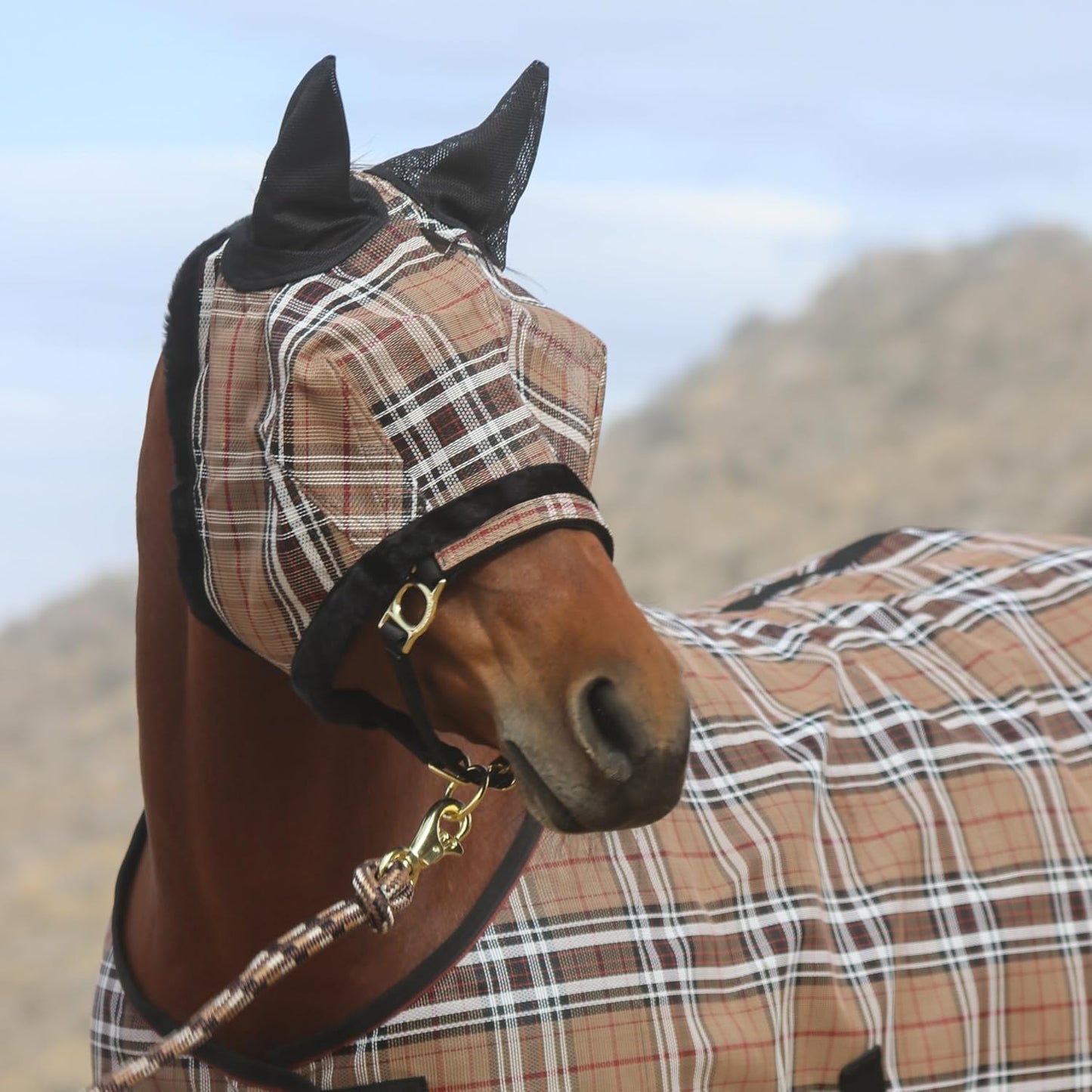 Kensington Signature Fly Mask w/Web Trim, Soft Mesh Ears & Forelock Opening Size: M-Small Horse Color: 121 - Deluxe Black
