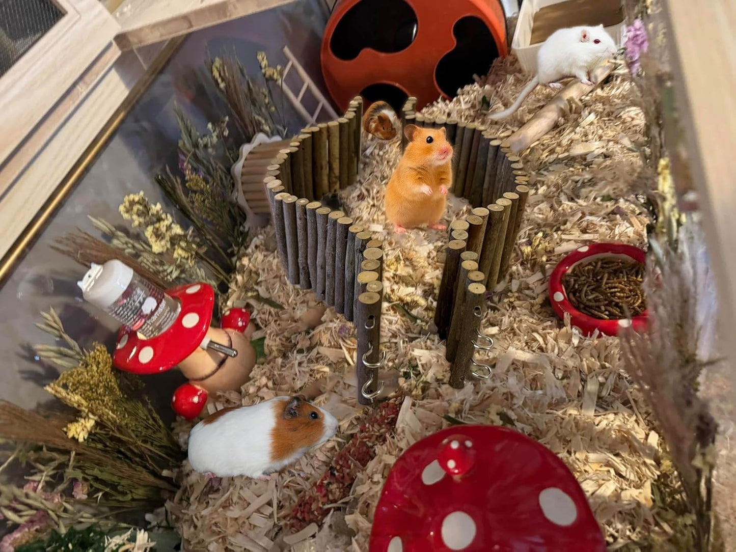 SIMENA Wooden Hamster Suspension Bridge Toy, Hamster Fencing, Natural Climbing Ladder for Dwarf Hamsters, Syrian Hamsters, Mice, Gerbils & Small Pets (Natural, 19.7")