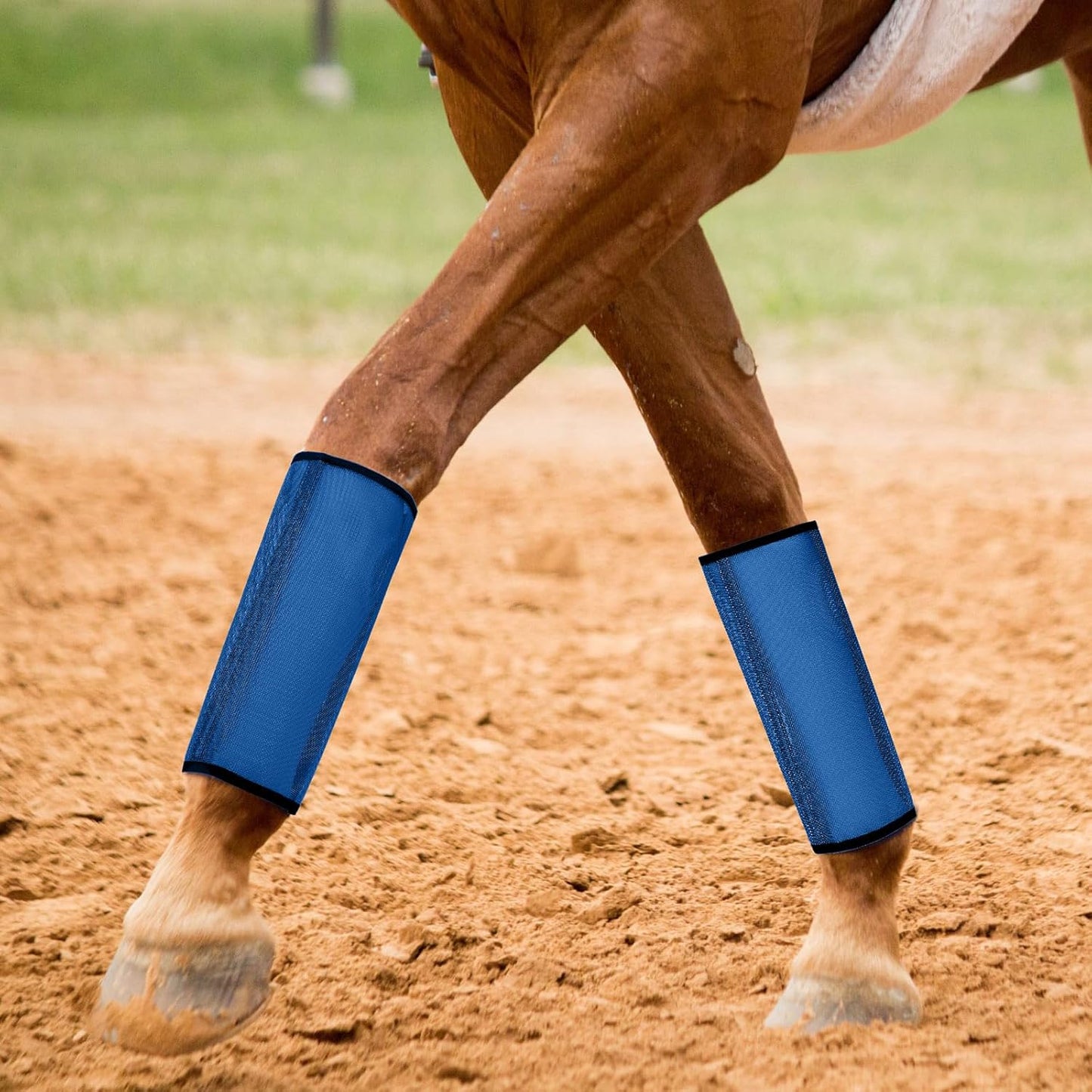 Jexine 12 Fly Boots for Horse Set of 12 Loose Breathable Mesh Horse Fly Sheets Protective Horse Leg Wraps Leggings for Preventing Flies and Mosquitoes Bites (Blue, Green, Brown)