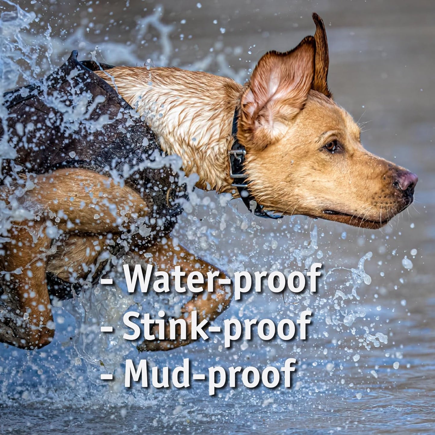 Biothane Custom Dog Collar – Waterproof, Stink-Proof Personalized Collar with Name & Phone Number – Durable, Many Sizes and Colors – Assembled in USA (Hunter Orange)