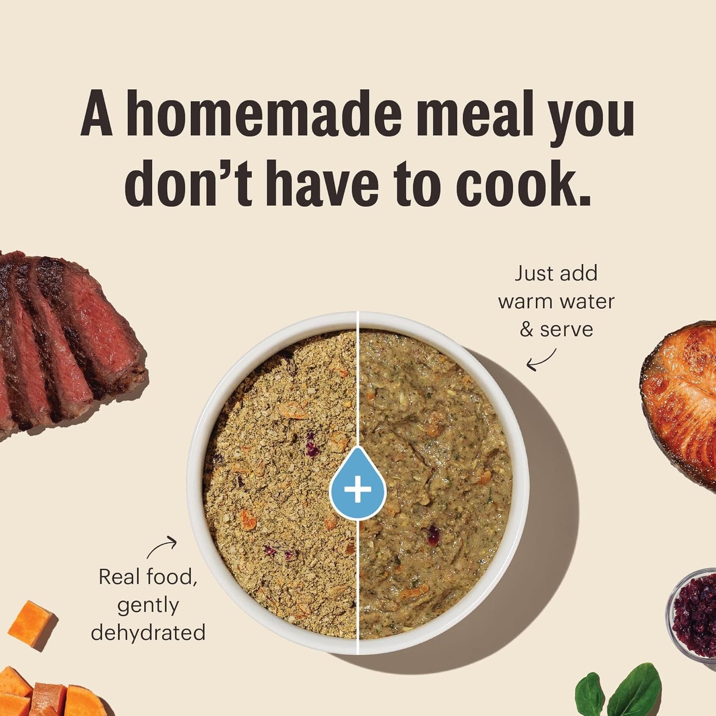 The Honest Kitchen Wholemade™ Grain Free Beef Dog Food, 7 lb Box