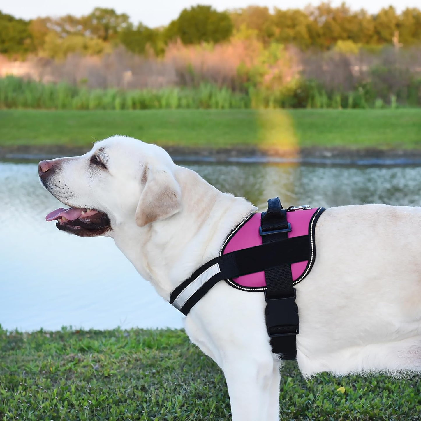 Dogline Dog Harness, Reflective No-Pull Adjustable Vest with Handle for Walking, Training, Breathable, No - Choke Harness for Small, Medium or Large Dogs Room for Patches Girth 22"-28" in Pink