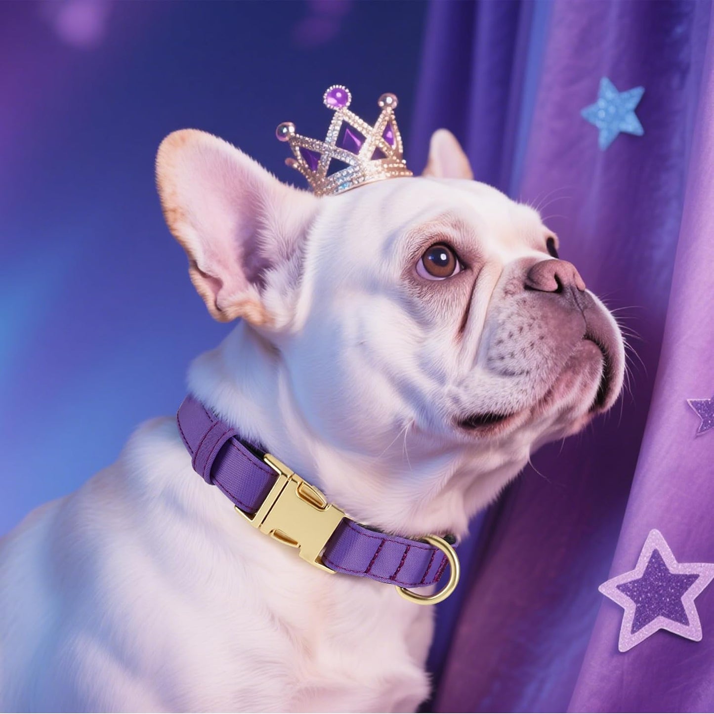 Didog Soft Padded Dog Collars for Small Dogs, Colorful and Durable Dog Collar with Quick Release Buckle, Light and Breathable for Daily Walking, Purple, S