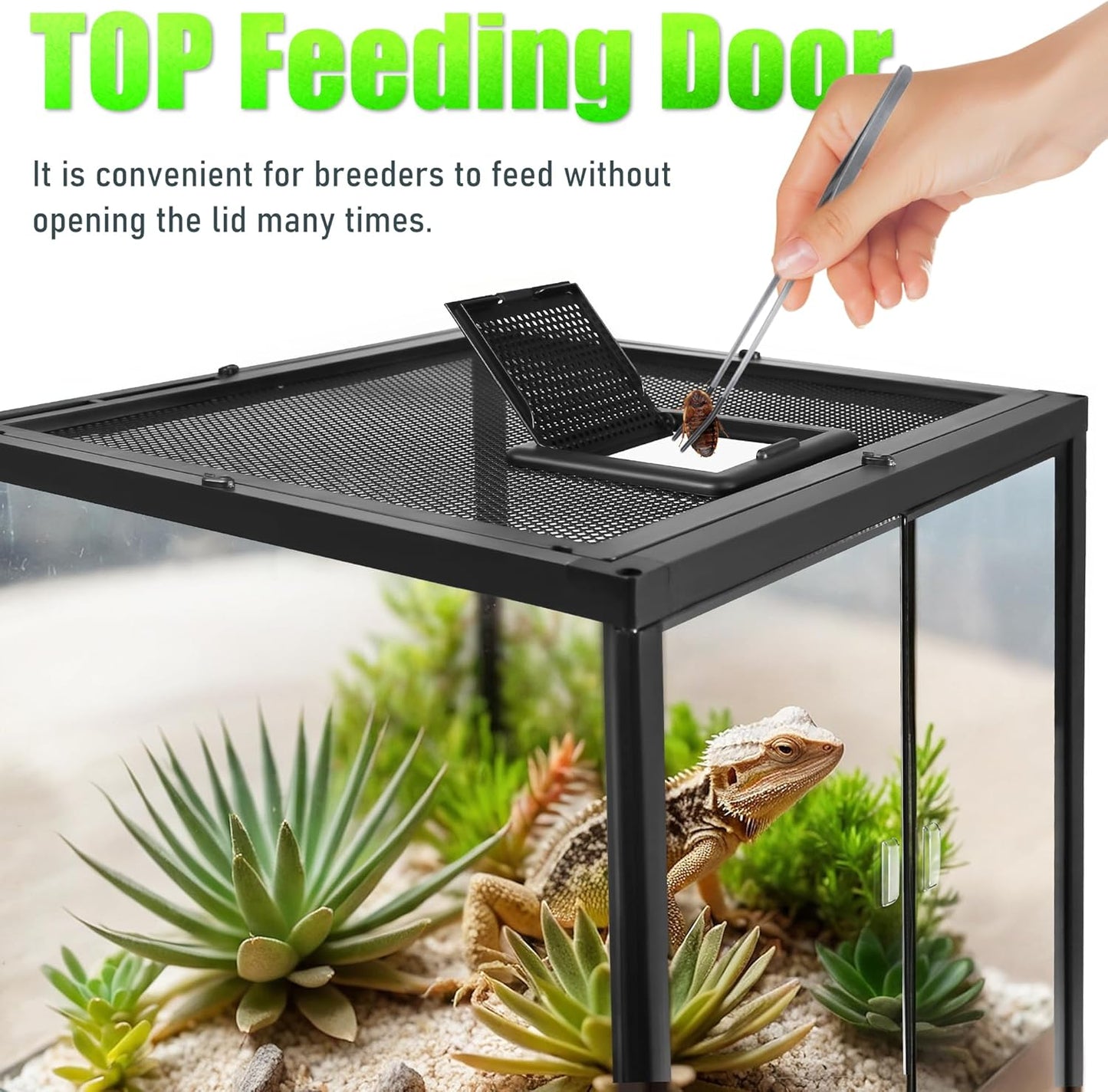 24’’18’’24’’ Reptile Terrarium with Full View Tempered Glass, 43 Gallon Reptile Habitat Comes with Feeding Port and Mesh Top Vent, Suitable for Most Reptiles Such as Chameleon, Lizard and Snake