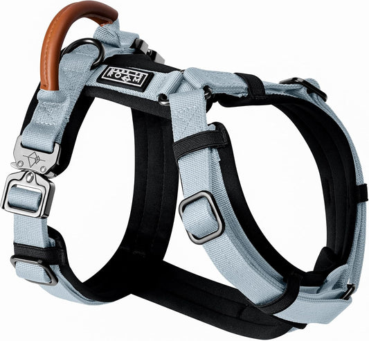 MADE TO ROAM Premium Explorer Harness - Y-Shaped Dog Harness with Adjustable Durable Nylon, Soft Padding, Metal Buckles and Leather Handle for Small, Medium, Large Dogs (Alaska Daybreak, Size 6)