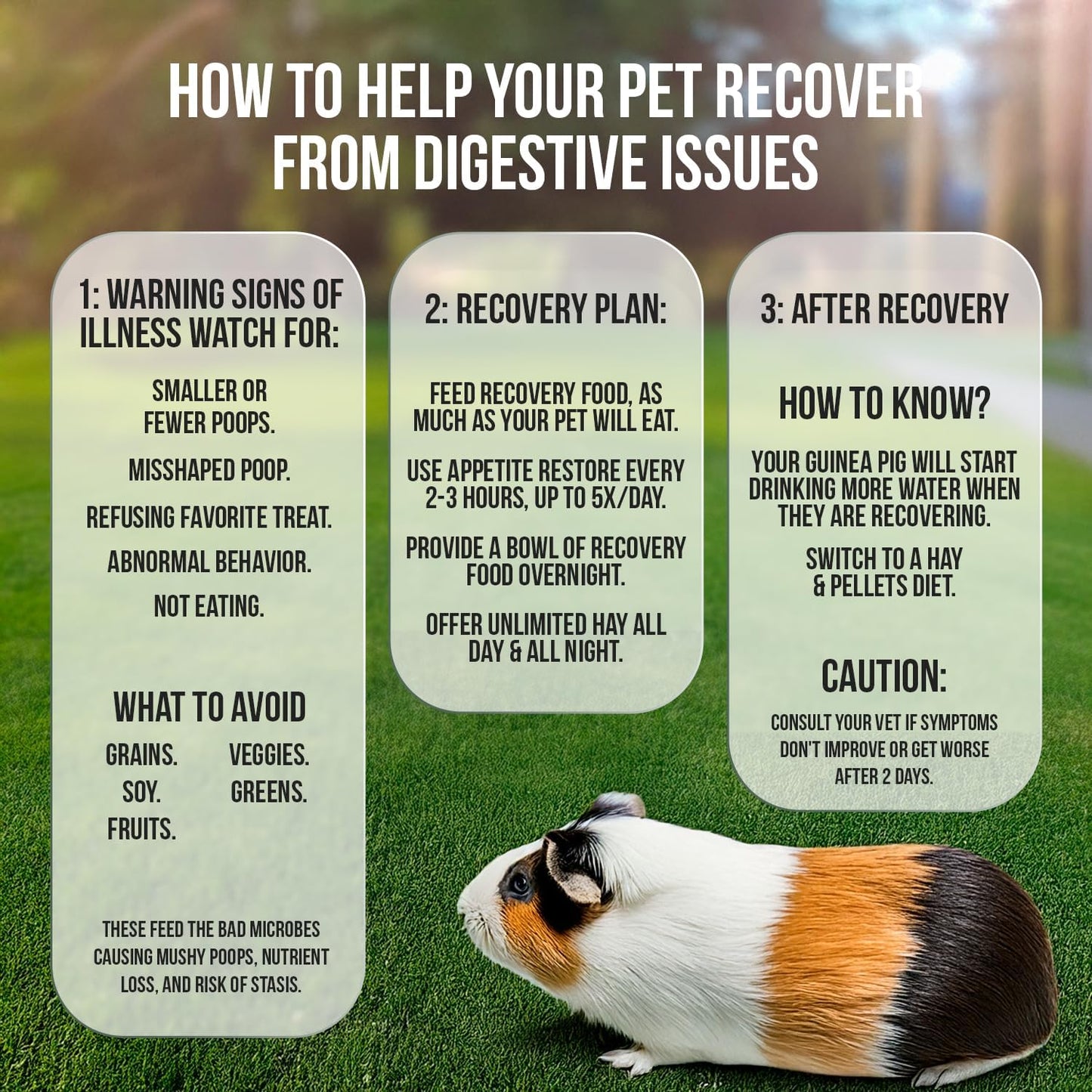 Sherwood Pet Health Guinea Pig Emergency Kit (Small) with Timothy Recovery Food and Appetite Restore in Stay-Fresh Packets