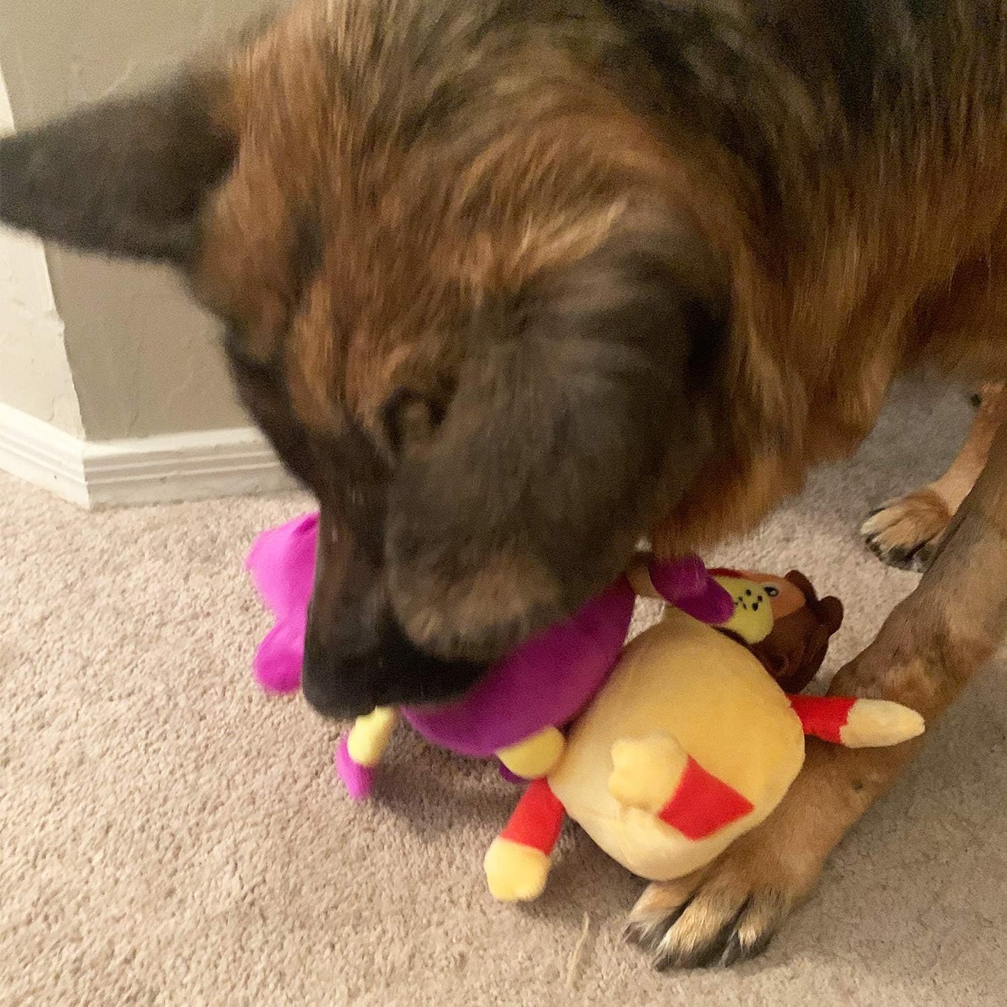 Jalousie Dog Squeaky Toys Value Set Non-Toxic Squeaky Balls Toss Fetch TPR Rubber Puppy Toys Spikey Dog Chew Toy for Small Medium Breed Pet Toys for Puppy (3 Pack 2-in-1 Plush)