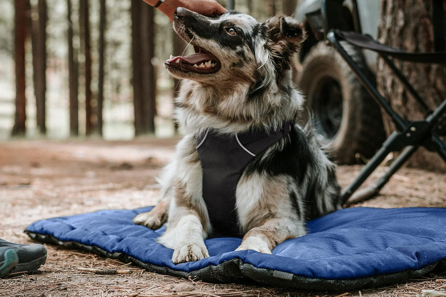 K9 Ballistics Tough Ripstop Dog Crate Pad - Durable & Machine Washable with Non-Skid Bottom and 120-Day Warranty, Fits 48" Wire Crates - X-Large, Blue Quartz