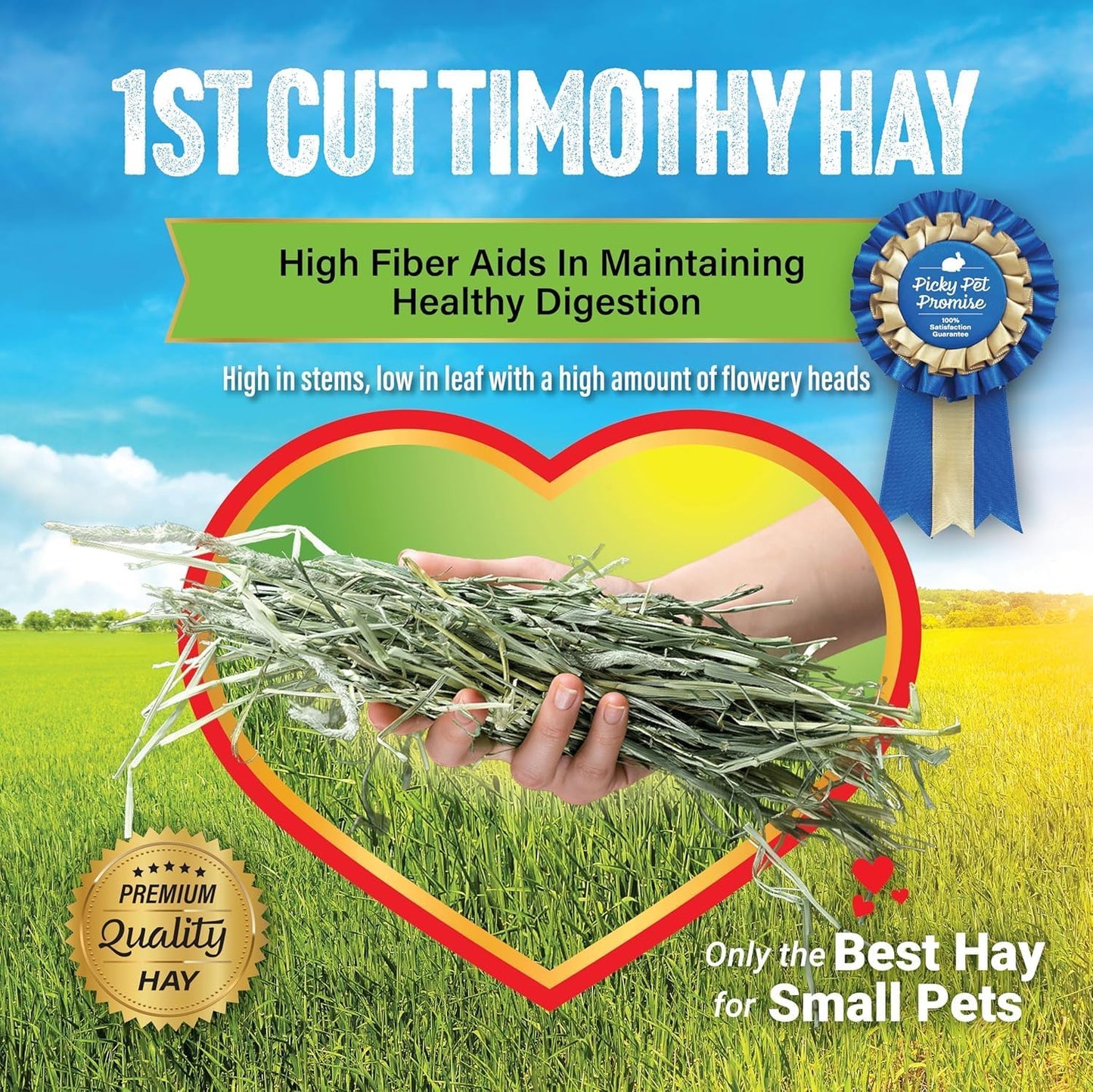 Small Pet Select 1st Cutting Timothy Hay, Animal Food for Guinea Pig, Rabbit, Hamster, Bunny, or Chinchilla, Natural Hay Grown in the USA, 5lb