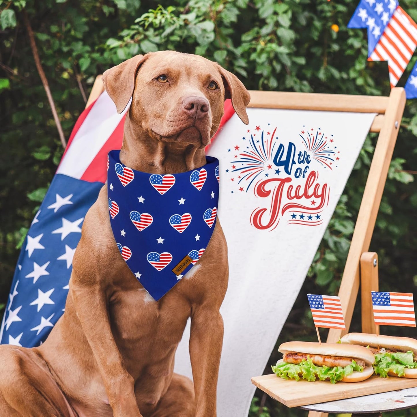 4th of July Dog Bandanas - 2 Pack Reversible American Flag Pet Scarf for Boy and Girl | Premium Durable Fabric | USA Patriotic Bandana for Small Medium Large and Extra Large Dogs (Large)