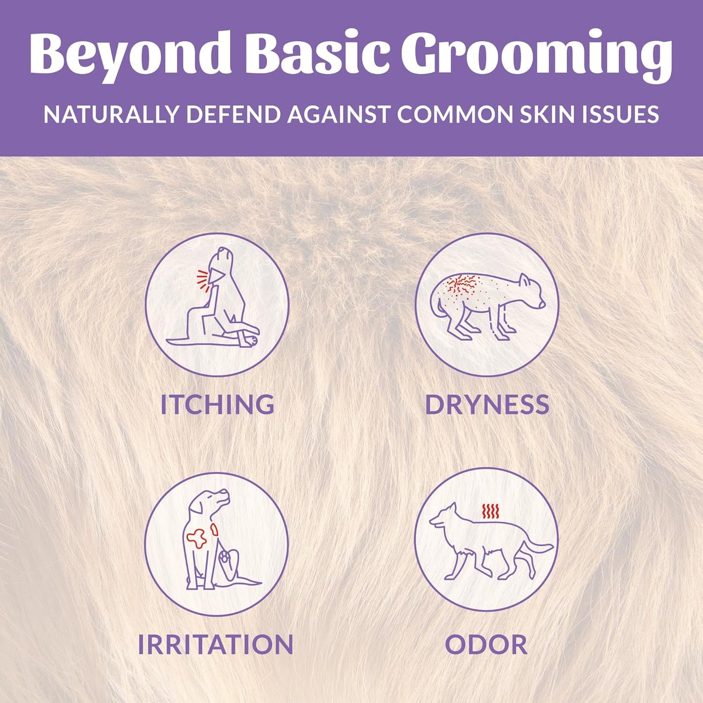 Skout's Honor Probiotic Dog Shampoo & Conditioner with Avocado Oil & Omega-3s, 97% Natural, Paraben & Sulfate-Free, Cruelty-Free, 16oz, Lavender, 2-Pack