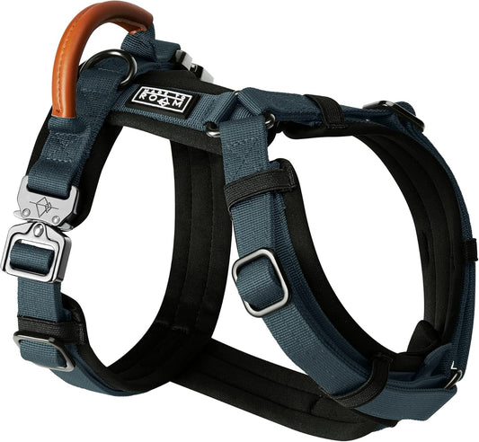MADE TO ROAM Premium Explorer Harness - Y-Shaped Dog Harness with Adjustable Durable Nylon, Soft Padding, Metal Buckles and Leather Handle for Small, Medium, Large Dogs (Colorado Nightsky, Size 4)