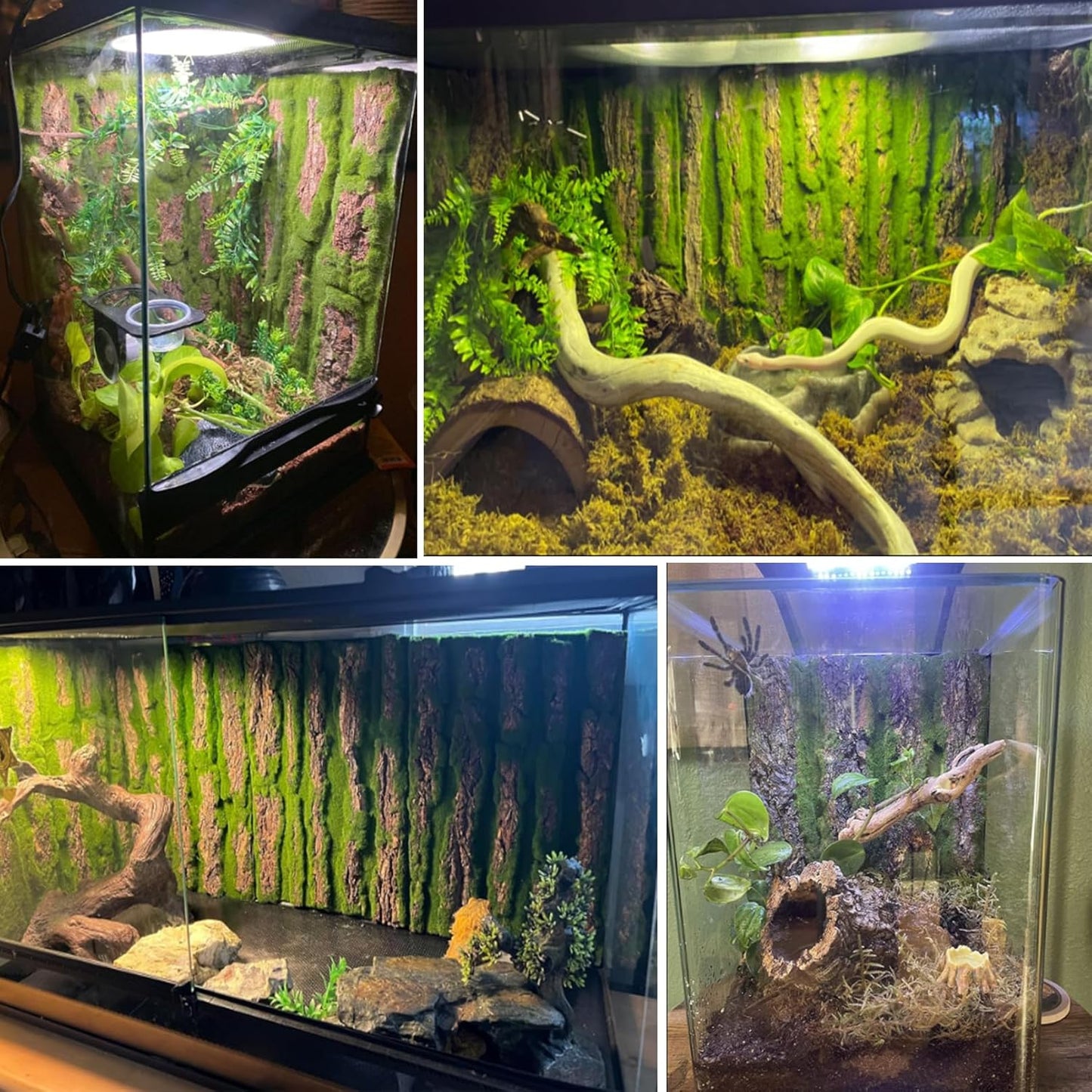 kathson Reptile Cork Terrarium Background Decor,Habitat Fitting Bark Backdrop Wall Artificial Moss 3D Aquarium Panel for Lizard Gecko Tortoise Spider Bearded Dragon Chameleon Snake Amphibian(2Pcs)