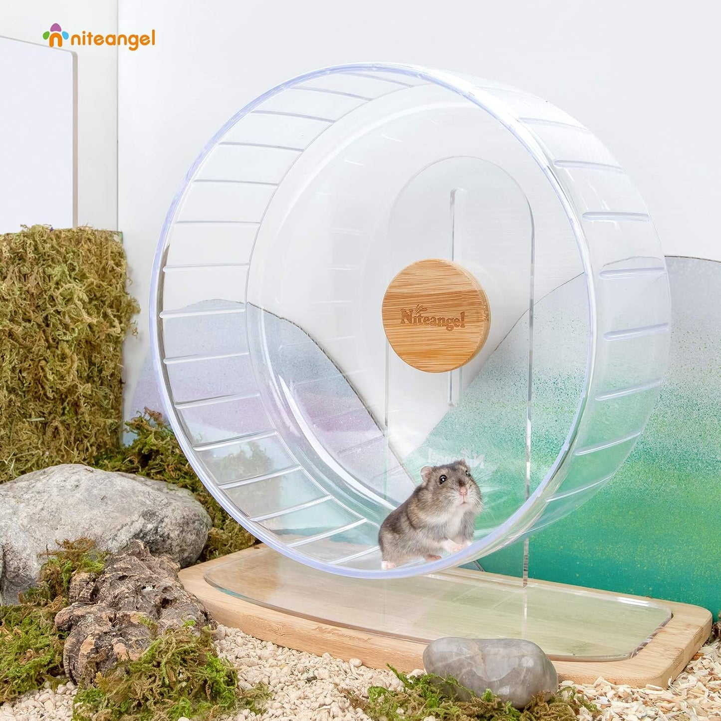 Niteangel Super-Silent Hamster Exercise Wheels: - Quiet Spinner Hamster Running Wheels with Adjustable Stand for Hamsters Gerbils Mice Or Other Small Animals (L, Transparent)