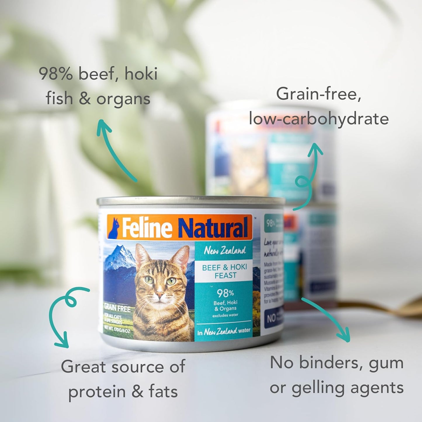 Feline Natural New Zealand Canned Catfood Wet Food, High-Meat, Low-Carb, & Grain Free Cat Food Wet, Beef & Hoki Feast, 6 oz, Pack of 12