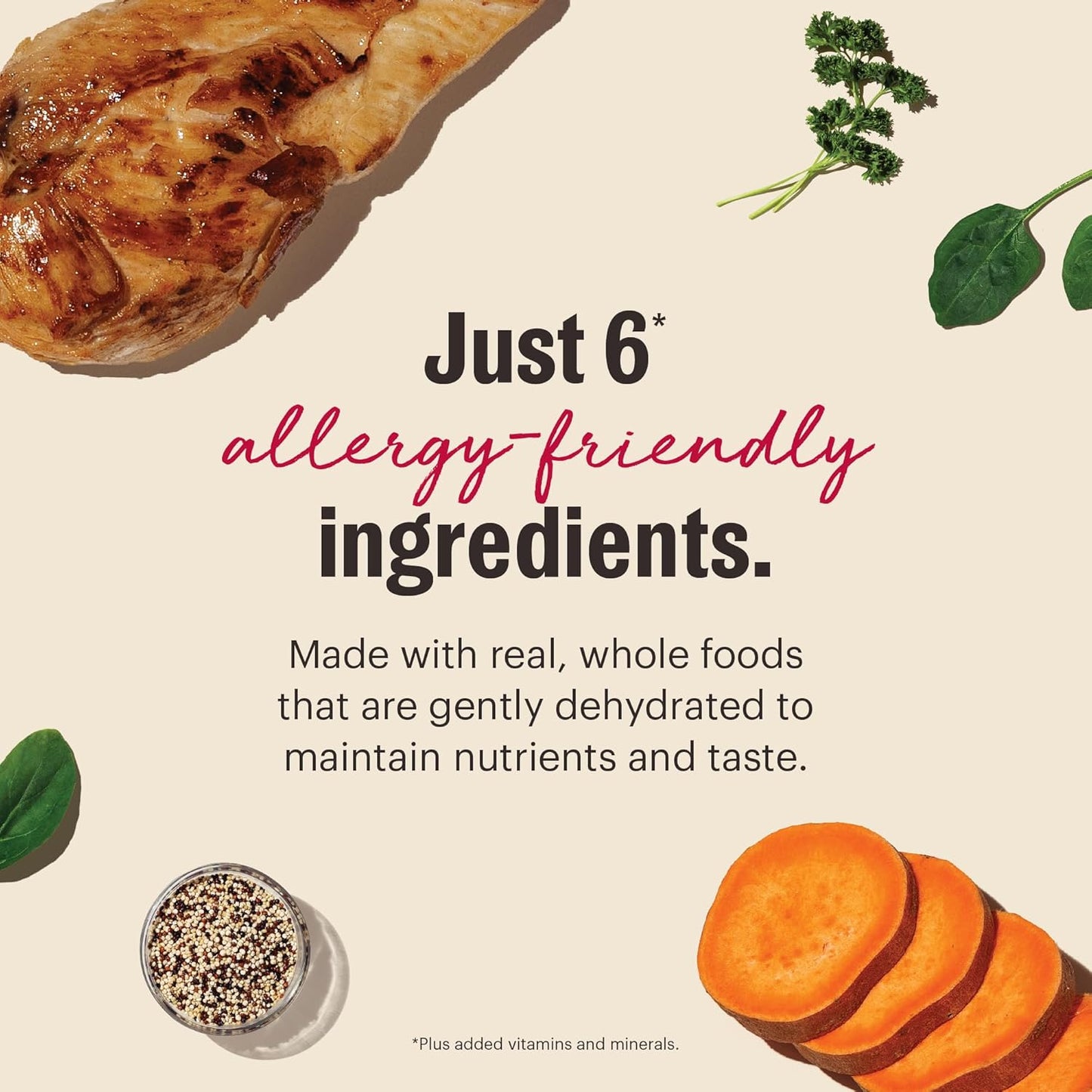 The Honest Kitchen Wholemade™ Limited Ingredient Chicken Dog Food, 10 lb Box