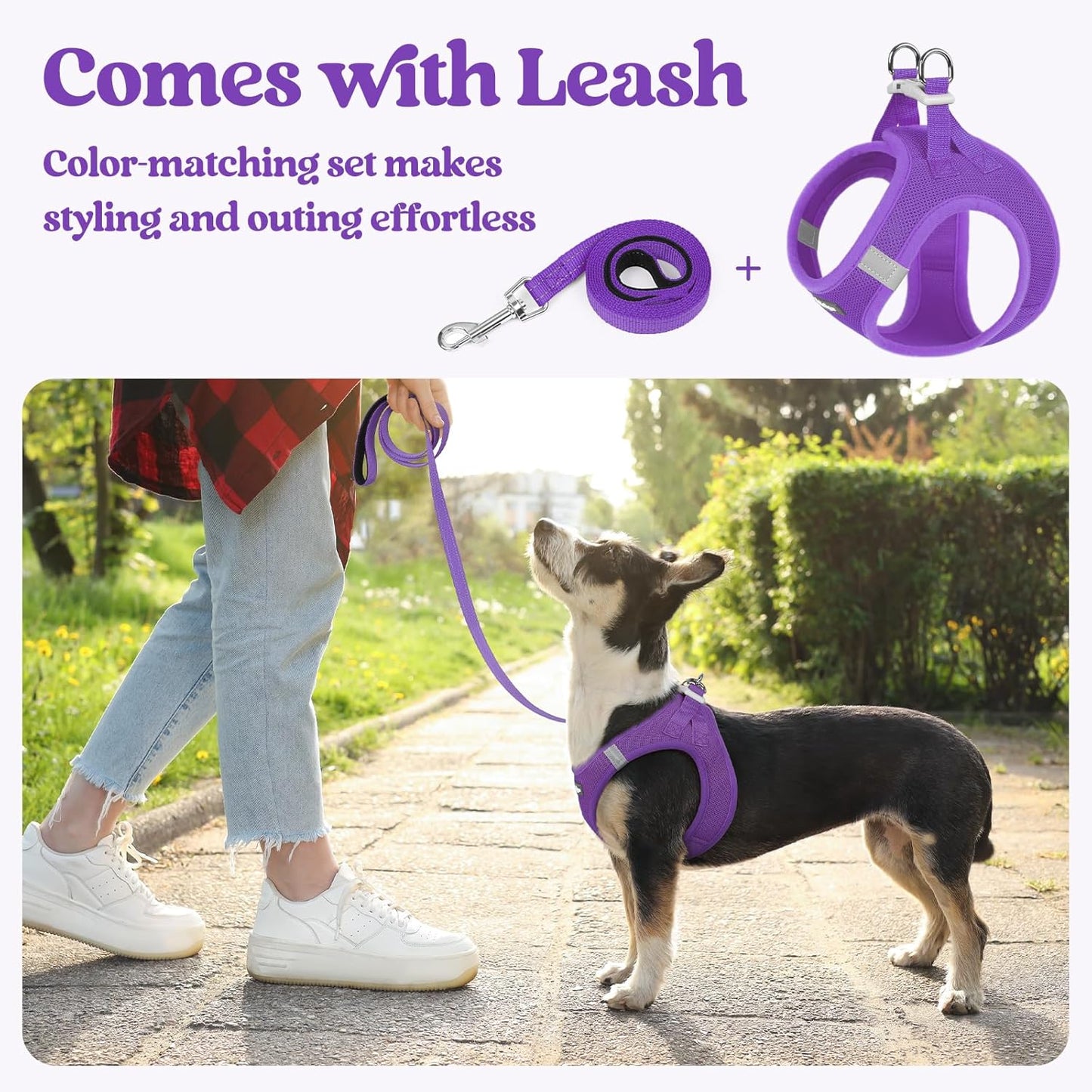 rabbitgoo Dog Harness Small Medium Sized and Leash Set, Step in Soft Light Puppy Vest, Breathable Mesh Pet Harness, Reflective for Safe Outdoor Walking, Purple L