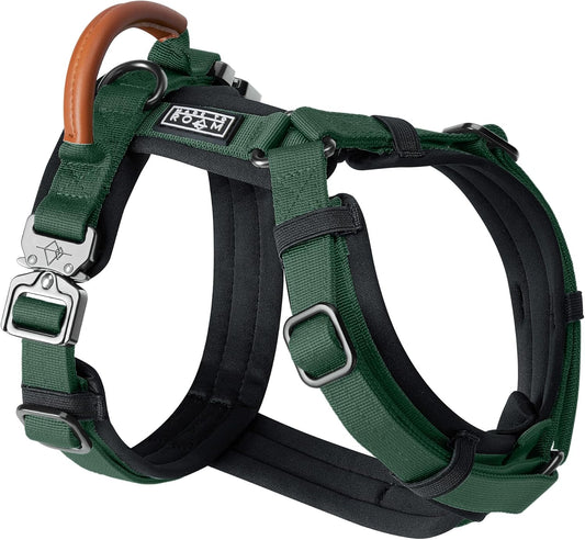 MADE TO ROAM Premium Explorer Harness - Y-Shaped Dog Harness with Adjustable Durable Nylon, Soft Padding, Metal Buckles and Leather Handle for Small, Medium, Large Dogs (Maine Marina, Size 7)