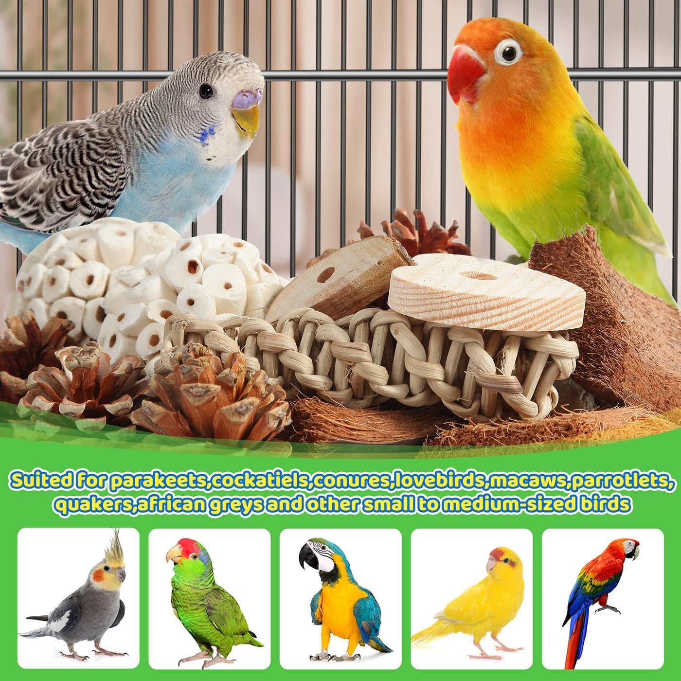 Kyouki Bird Toys Parrot Natural Bird Foraging Box Foot Toys for Parakeets,Cockatiels,Conures,Love Birds,and Other Small to Medium Birds (Large)