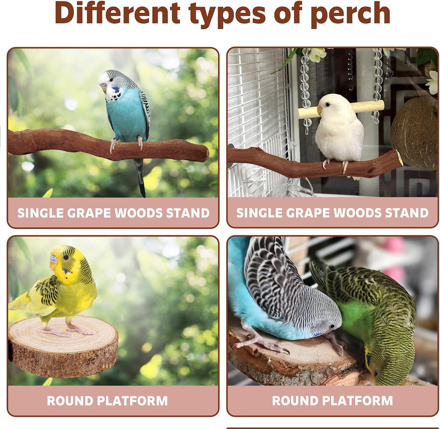 5PCS Bird Perch Stand Natural Wooden Parrot Stand Branch,3 Grape Wood Perch,2 Platform,Paw Grinding Fork Parakeet Chewing Stick Exercise Training Branches for Cockatiels,Small Birds