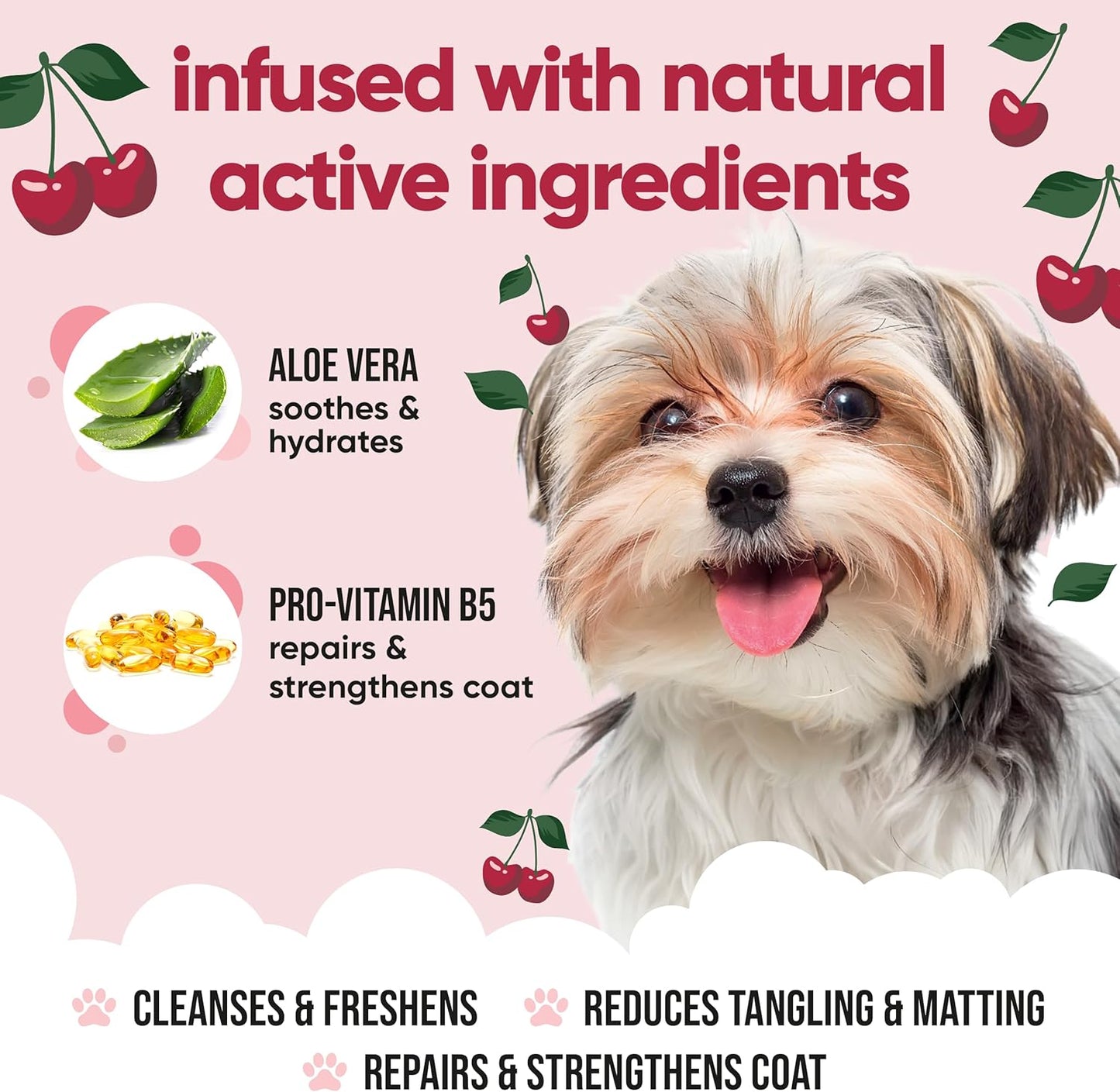 Black Cherry Dog Shampoo by Buddycare | Deep Cleansing Shampoo for Dogs | Black Cherry Scented | with Aloe Vera and Pro Vitamin B5 (50.72oz)