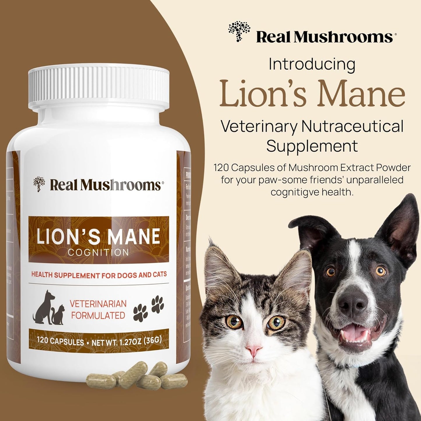 Real Mushrooms Lion’s Mane Pet Mushroom Supplement – Pet Wellbeing Capsules – for Cat & Dog Supplement & Vitamins – Support Mindful Routines – Organic, Vegan, Non-GMO, 120 Count