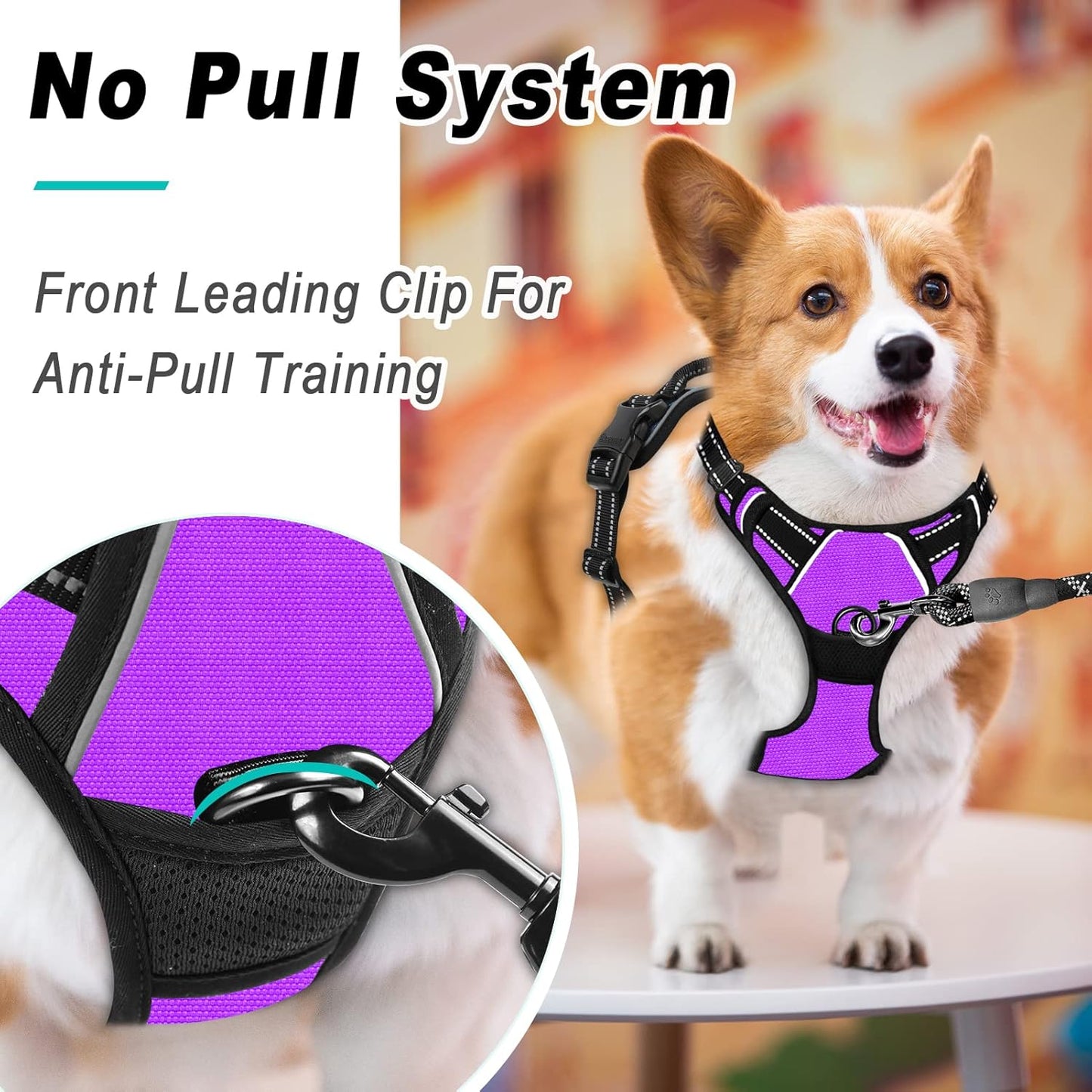 BARKBAY No Pull Dog Harness Large Step in Reflective Dog Harness with Front Clip and Easy Control Handle for Walking Training Running(Purple,L)