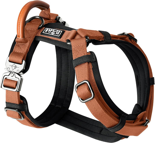 MADE TO ROAM Premium Explorer Harness - Y-Shaped Dog Harness with Adjustable Durable Nylon, Soft Padding, Metal Buckles and Leather Handle for Small, Medium, Large Dogs (Nevada Evening, Size 2)