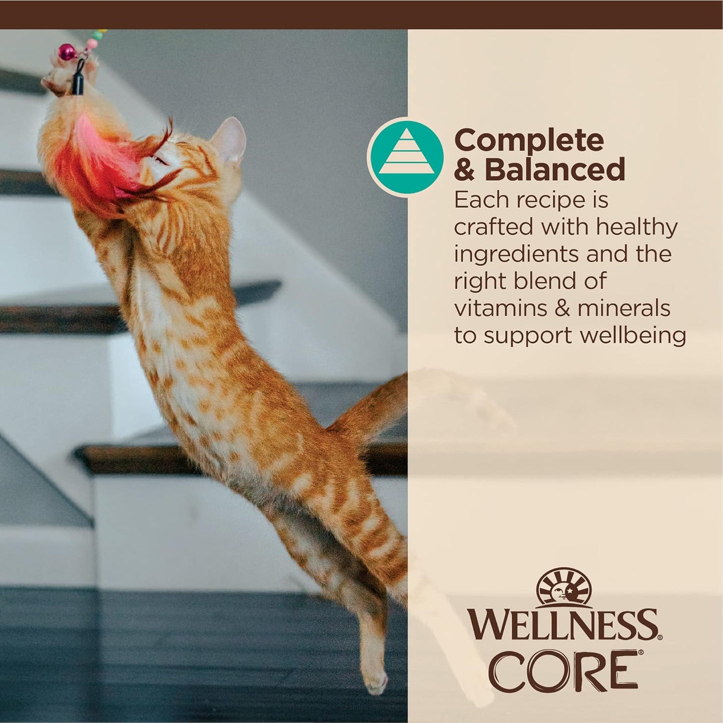 Wellness CORE Tiny Tasters Flaked Adult Wet Cat Food, Natural, Protein-Rich, Grain Free, 1.75-Ounce Pouch, 12 Pack, (Tuna & Salmon)