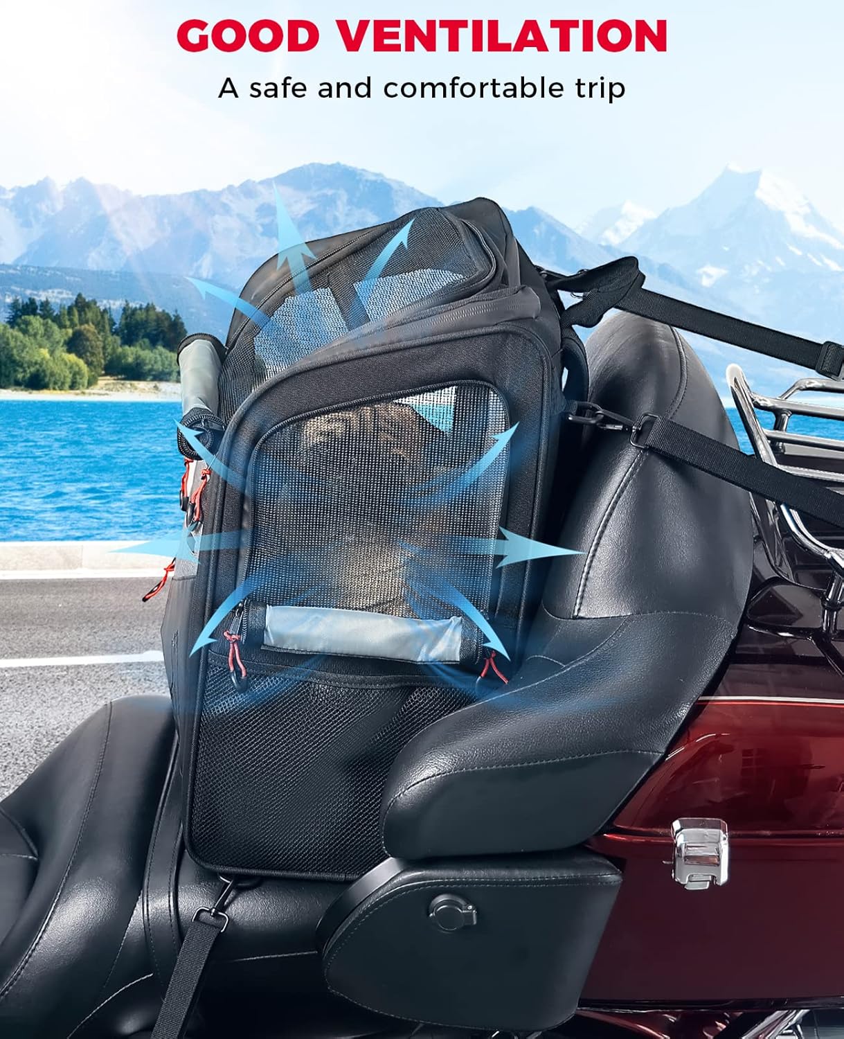 KEMIMOTO Motorcycle Dog Cat Carrier Bags Upgraded for Less Than 20 lbs Pets Carriers Portable Capacity Folding Backpack for Street Glide Road King with Passenger Seat Touring Trike Models Can AMS