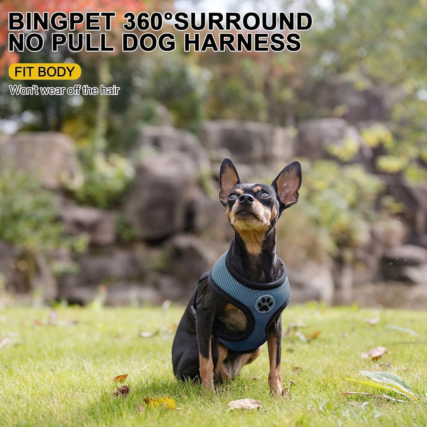 BINGPET Small Dog Harness - Breathable Mesh Puppy Cat Harnesses - No Pull Adjustable Dog Harness Dog Vest Harness for Small and Medium Dogs