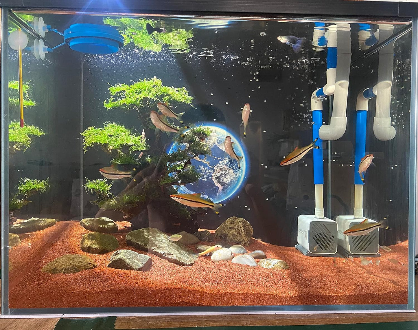 11lb Natural South American Rainforest Sand, Aquarium red Sand, Lava Rock Soil, Red Lava Rock Sand, Succulent Sand Fish Tank Sand Aquarium Substrate Sand